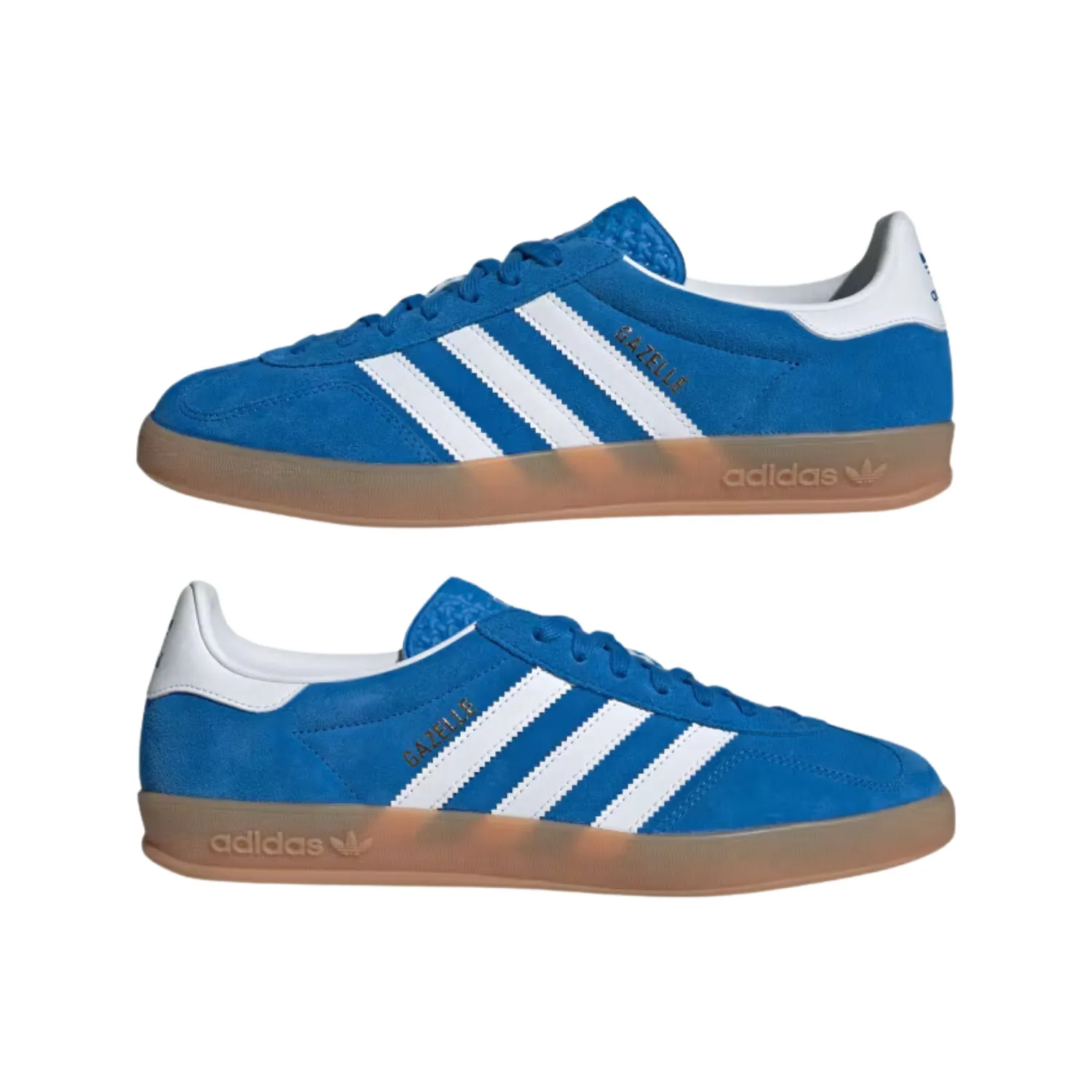 GAZELLE INDOOR