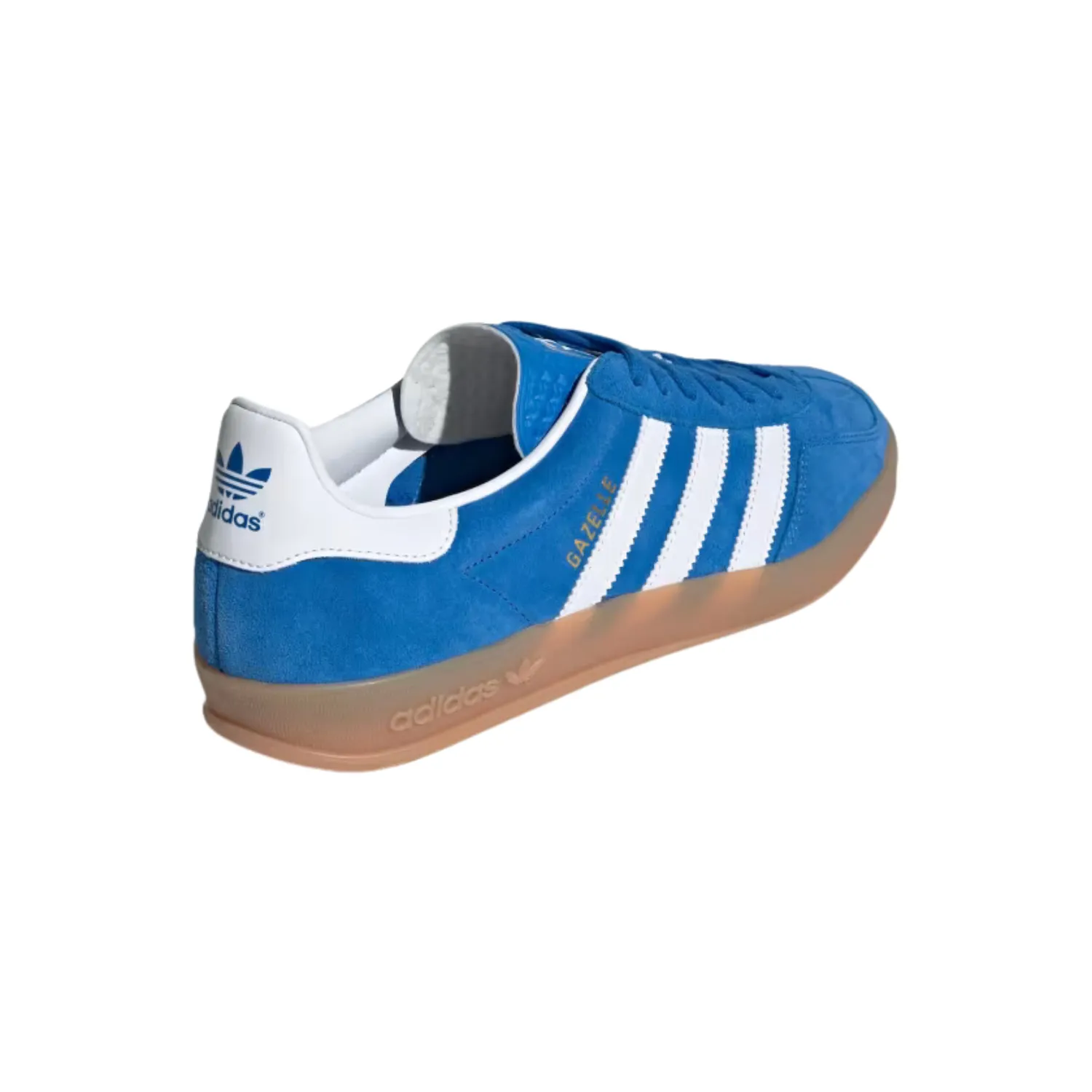 GAZELLE INDOOR