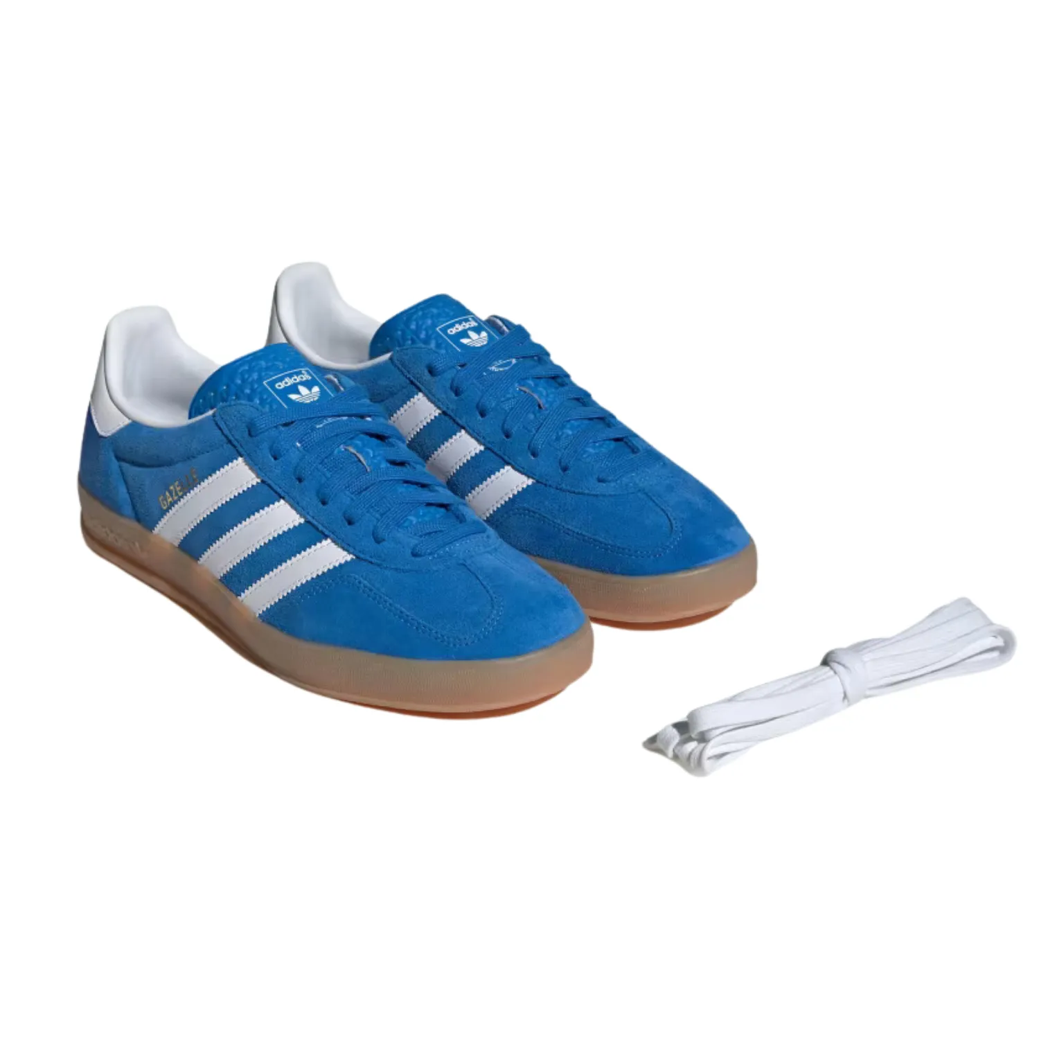 GAZELLE INDOOR