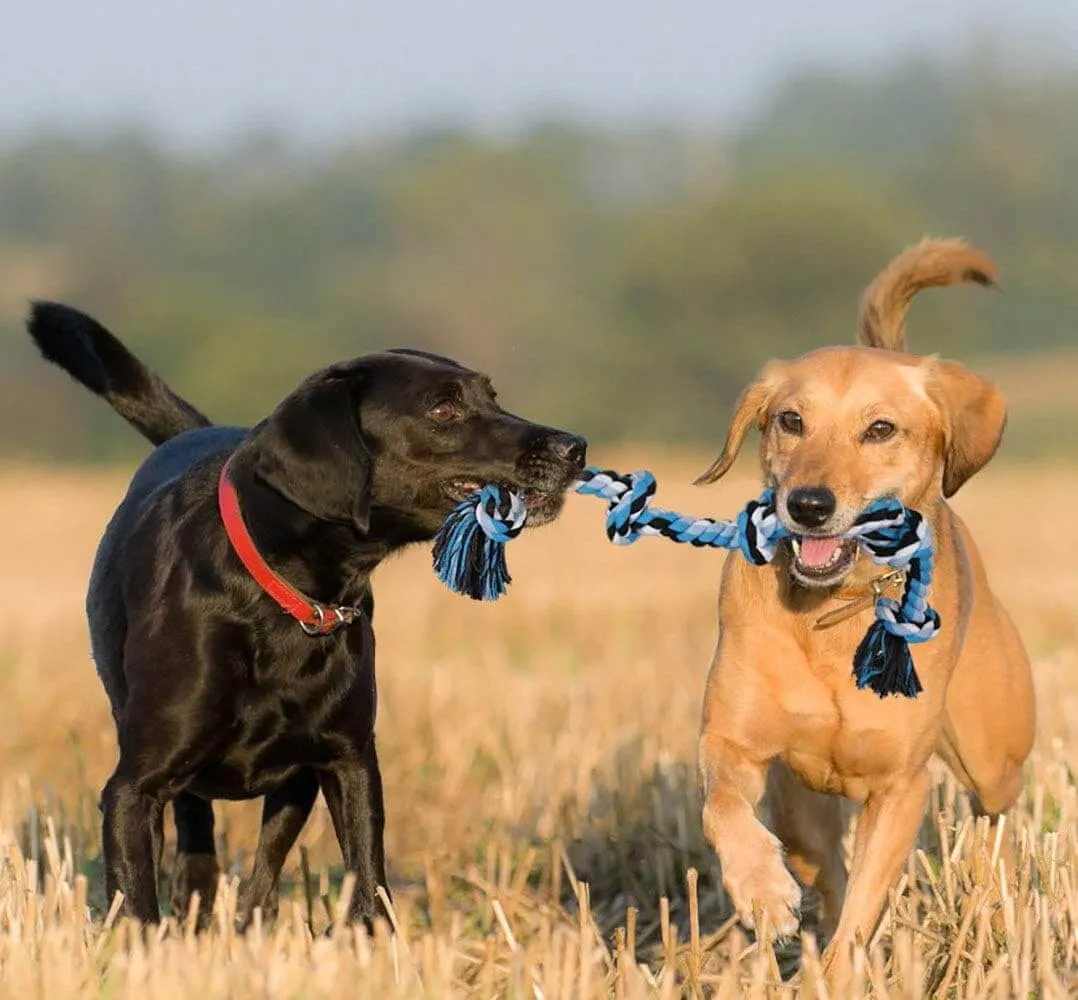 Heavy Duty Dog Chew Rope Toys with 5 Knots