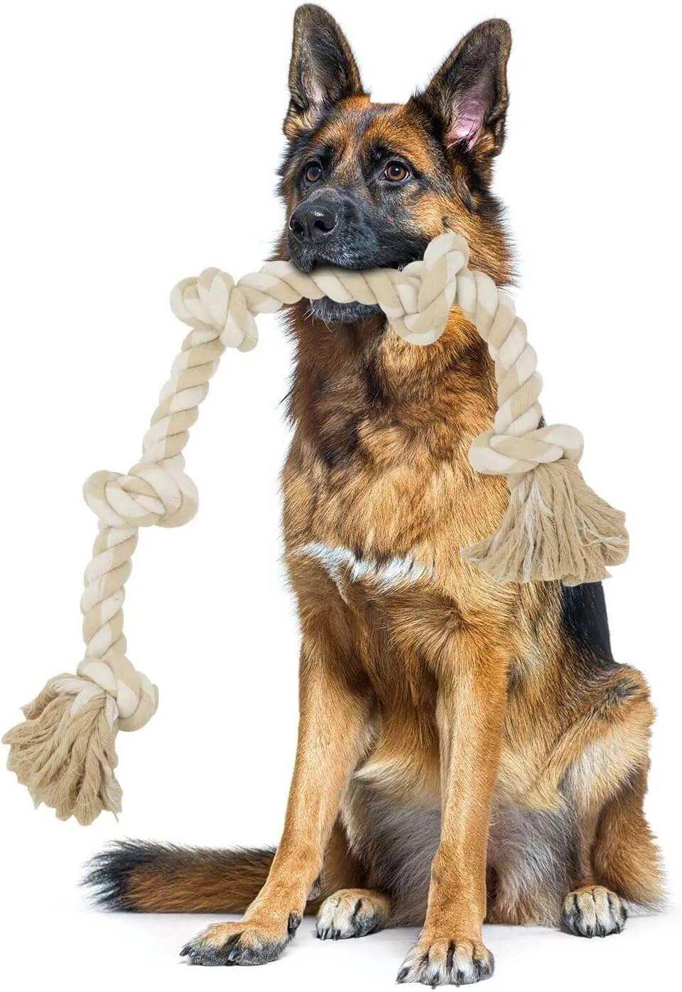 Heavy Duty Dog Chew Rope Toys with 5 Knots