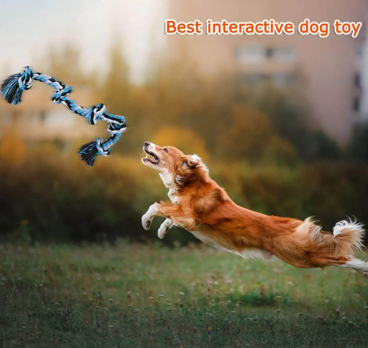 Heavy Duty Dog Chew Rope Toys with 5 Knots